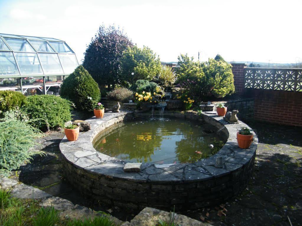 Clyst Saint Mary Eastcote Luxury Guest House المظهر الخارجي الصورة